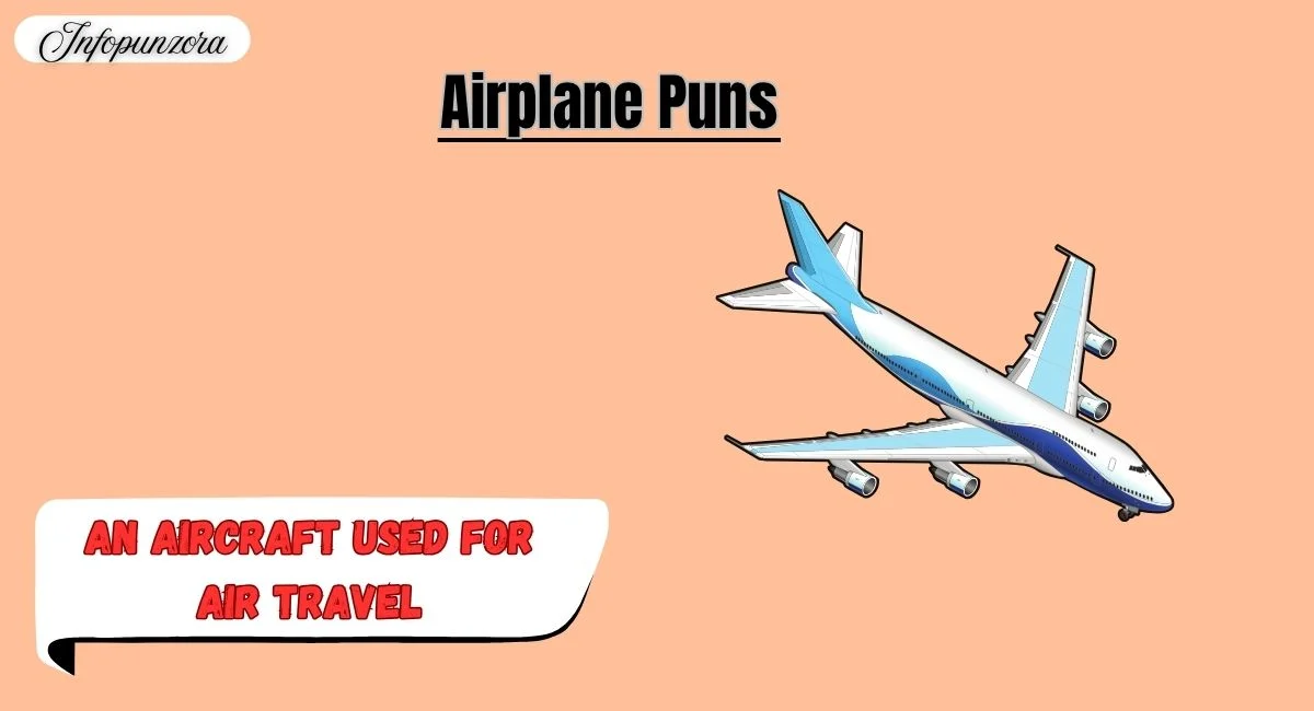Airplane Puns