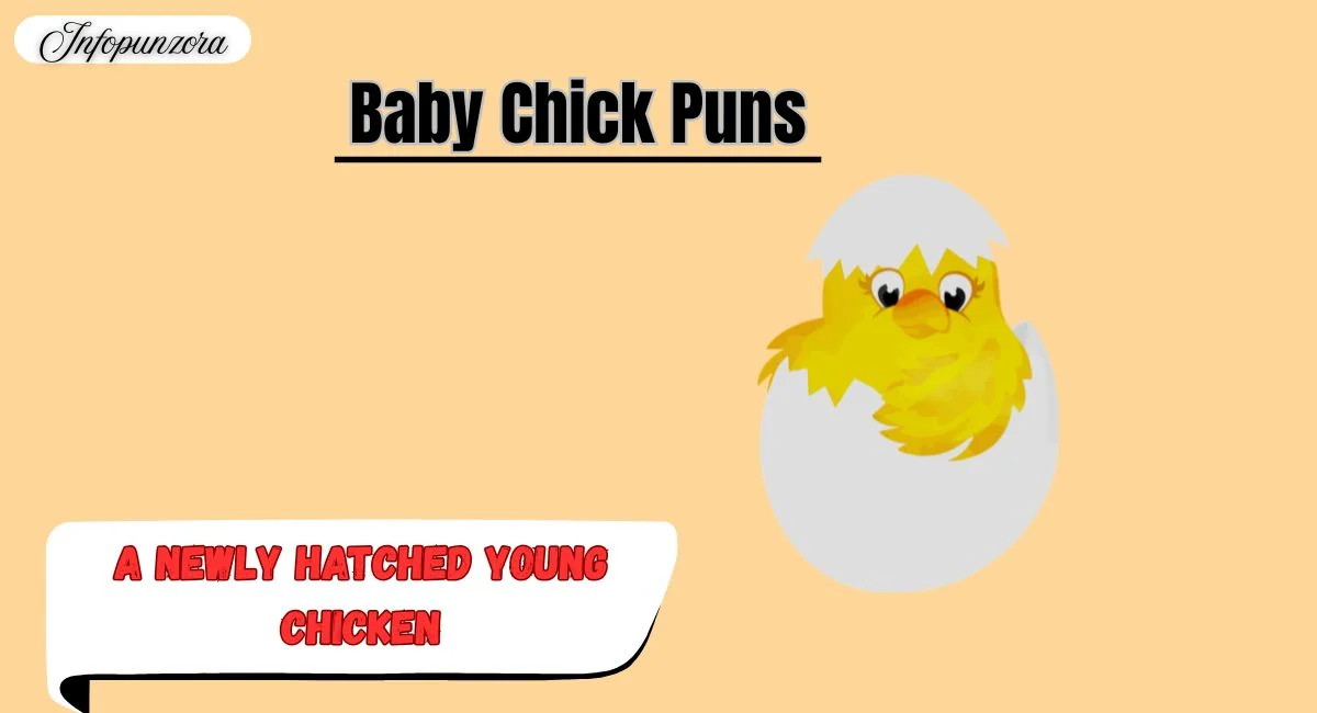 Baby Chick Puns