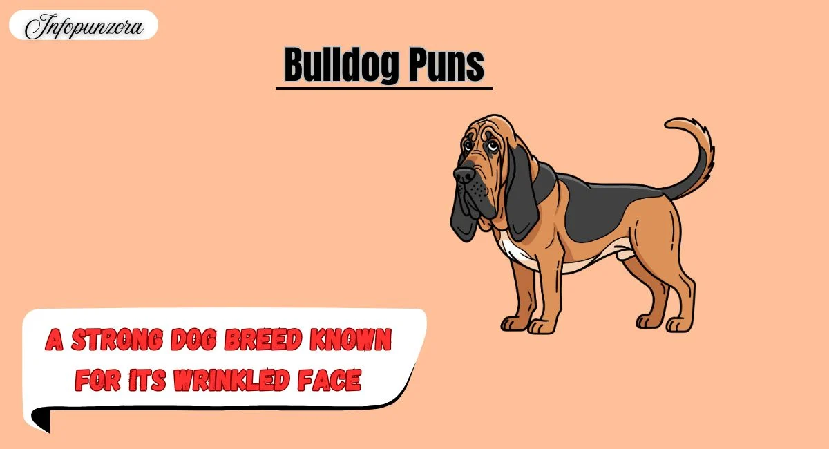 Bulldog Puns