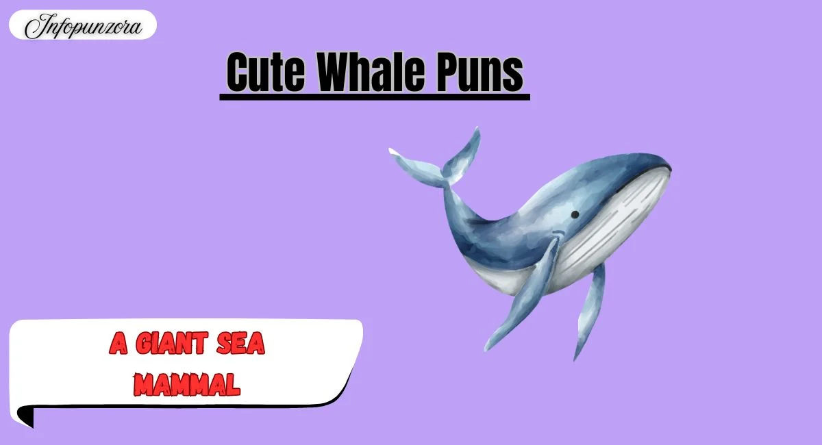 Cute Whale Puns