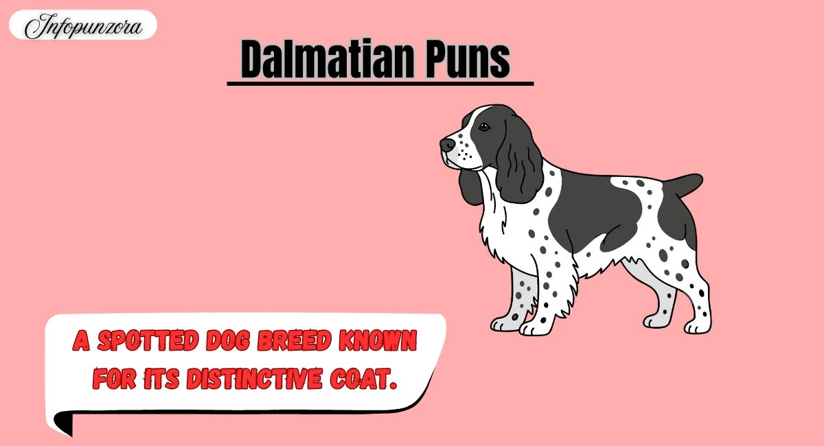 Dalmatian Puns