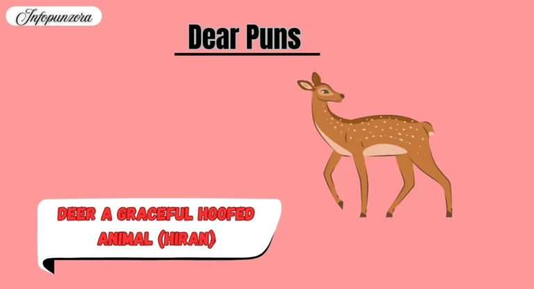 Dear Puns