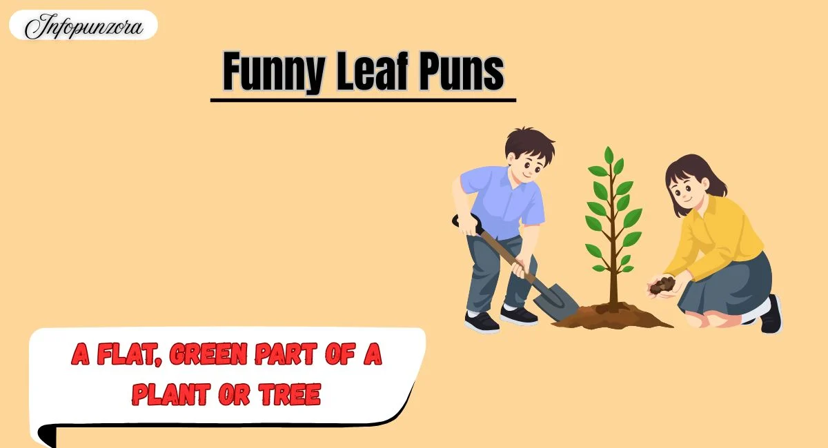 Funny Leaf Puns