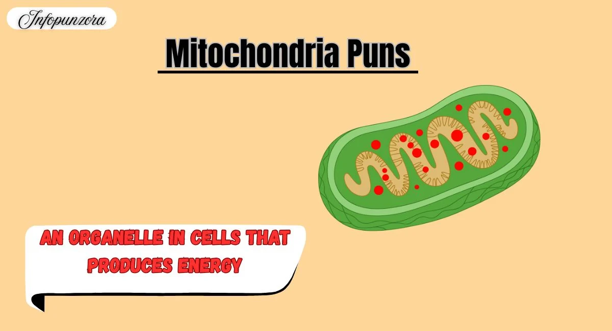 Mitochondria Puns