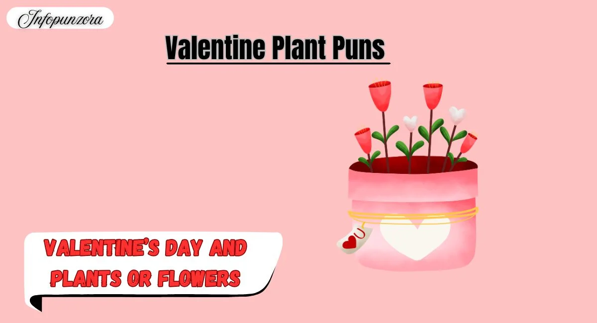 Valentine Plant Puns