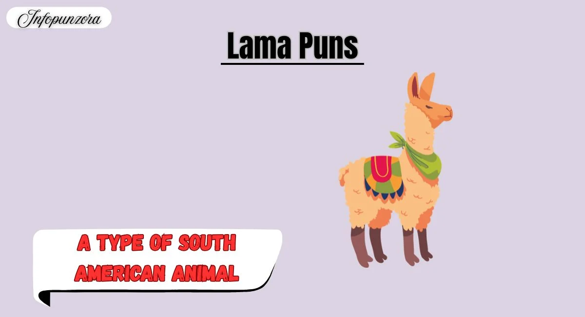 Lama Puns